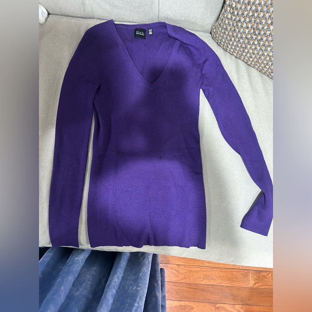 Saks Fifth Avenue Black Label Deep Purple V-Neck Sweater